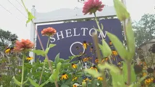 Shelton looks to recoup lost tax revenue from unregistered or out-of-state vehicles