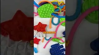 Why Every Classroom Needs This Sensory Toy! Little Scholars in Brooklyn, NY