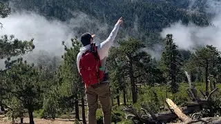 Deuter Trail 30 Backpack Review