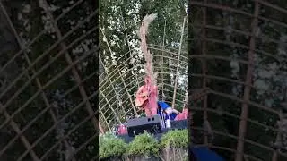 Laura Gibson - Performers