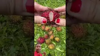 Guys🎉 you must know name of the fruit please comment in the comment box.#fruit #fruitcutting #shorts