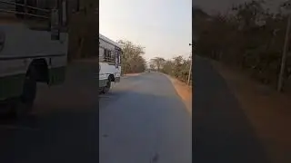 Pargi Bus 🚌