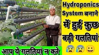 Hydroponics system बनाने से पहले इन बातों का रखे ध्यान नही तो पछताना पड़ेगा।