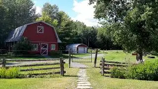 🐎 Hobby farm with relaxing nature sounds 🌳