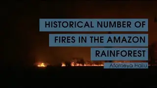 Historical Number of Fires in the Amazon Rainforest // Environmental Science 100 [FINAL]
