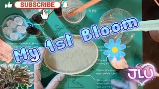 Resin Project - Making A Bloom in Resin