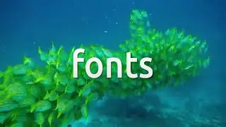 How to install Microsoft Fonts on Zorin OS 16