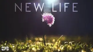 Seniz Sound  - New Life (Unofficial Film Score: Inside Out)