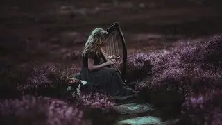 The Wildflower Path | Celtic Music Journey