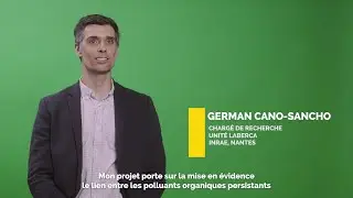 Environnement et sant&eacute; : quelle implication des polluants organiques persistants dans l'endom&eacute;triose