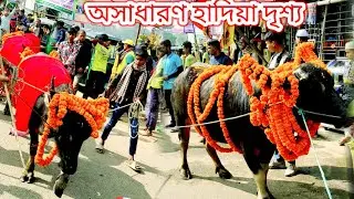 মহান ১০ই মাঘ ওরশ শরীফ || লাল গিলাফে হাদিয়া ঢল || সৈয়দ এমদাদুল হক মাইজভান্ডারী || Maizbhandar Sharif