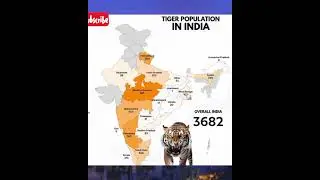 Tiger population in India #tiger #india