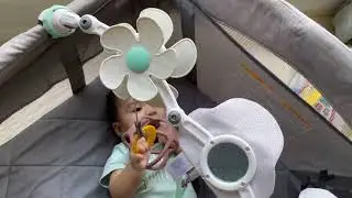 Tiny Love Stroller Arch