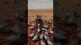 Roman Soldier  vs Endless Battle Ducks #uebs2 #vs #duck #BattleDuckPoints #tierlist