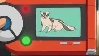 Linoone Pokedex Entry no.264