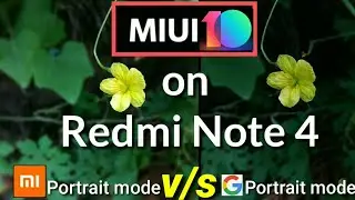 MIUI 10 on Redmi Note 4 Portrait Mode Camera by Acoustic channel