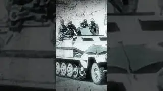 TOBRUK-SZCZURY