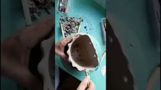 Maceta Diva