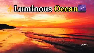 🌌Luminous Ocean Ambience: Sleep, Study & Deep Relaxation😌