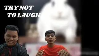 TRY NOT TO LAUGH CHALLENGE || PART 2