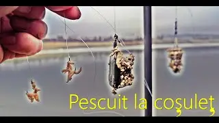 Фидерная/корзиночная рыбалка на реке Олт + азиатская техника!