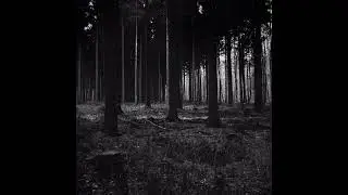 Infernal (Prod. astray044)