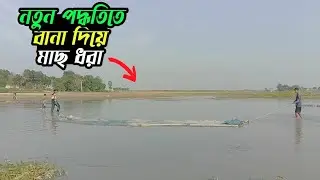 মাছ ধরার এমন ইউনিক পদ্ধতি আগে দেখেননি! 😱 Amazing Fishing Technique