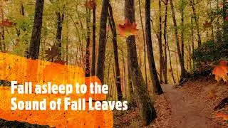 1 Hour of White Noise &ndash; Fall Leaves - Work, Study, Deep Sleeping - A Natural Lullaby - No Ad Breaks