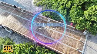 SEASIDE SYMPHONY