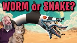 Herpetologist Analyzes Beetlejuice Sandworm Biology