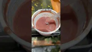 daphnia feeding!