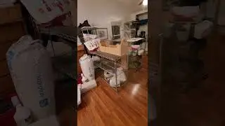 Update on rabbitat- Vlog Day 29