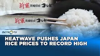 Japan Rice Prices Hit Record High Amid Heatwave Impact