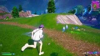 Bortnite