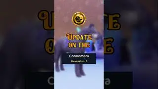 *NEW* Connemara UPDATE | Star Stable