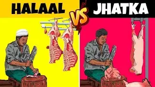 What is the difference between Halal and Jatka? 😳| TooMuchFacts