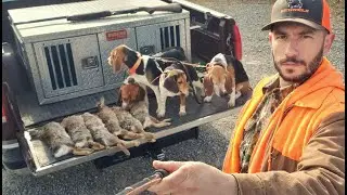 Solo Rabbit Hunt with a New Browning A5 Ultimate Shotgun. Missouri limit? Or did I struggle?
