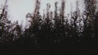 Sova Stroj - Nebula/Nox (2018)