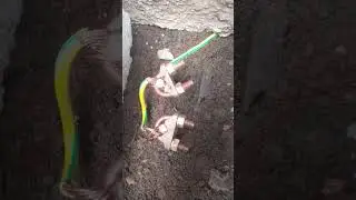 Mastering Electrical Grounding Systems  how toTips, Methods, solutions for  earthing problems. eps3