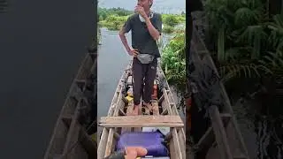 Fishing on boat,Strike channa pleuro #fishing #mancing #angler #casting #fish #mancingmania #pancing