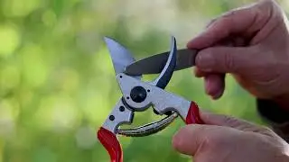kertmotor.hu Metsz&eacute;s &oacute;ra (16): A metszőoll&oacute; &eacute;lez&eacute;se, fen&eacute;se