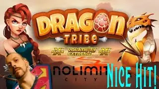 OMG DragonTribe Hit's Top Level! #dragontribe #nolimitcity