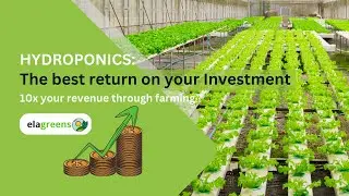 Hydroponics: The best return on Your #investment .10X your Revenue through #farming