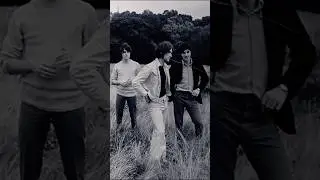 #kinks#davidwatts#poprock#rock#1960s#music#raydavies