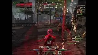 ESO: Stamblade Wood Elf PVP battlegrounds