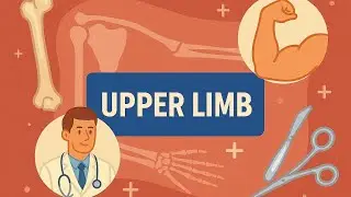 Upper limb part 5 by Dr.Saad Rafi Rafiullah Latest edition 