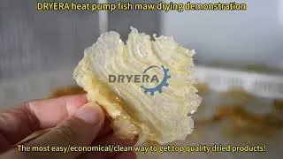 DRYERA heat pump Fish maw drying demonstration