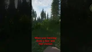 when your tracking and get lucky #callofthewild #bowhunting #bears