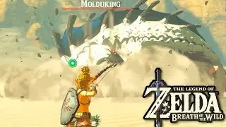 The Legend of Zelda Breath of the Wild Molduking Boss Battle (Champions' Ballad DLC)