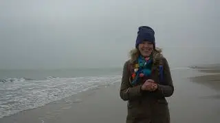 Deze schelpen verraden hun leeftijd